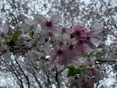 -长广溪湿地公园