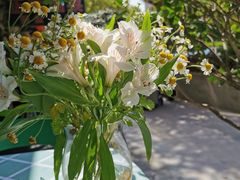 -SONGUOLIFE松果咖啡(七莘路店)