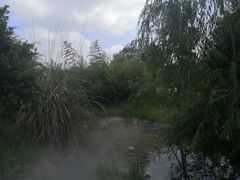 -白鹭湾湿地公园