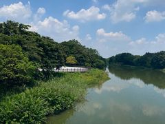 -海珠湖公园