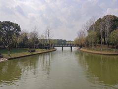 -上海鲜花港