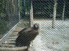 -兰陵国家农业公园