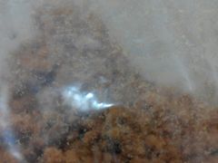 -黄胜记鼓浪屿肉松店(龙头路店)