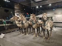 -秦始皇帝陵博物院-丽山园