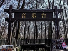 -音乐台