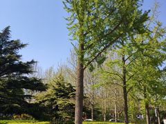 -中国政法大学(昌平校区)