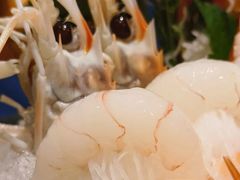 -無鱼鳞比