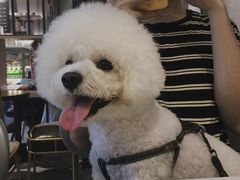 -喜茶(深圳丰盛町店)