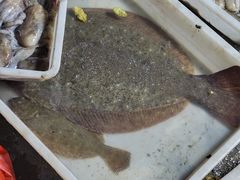 -登州市场(登州路店)