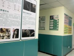 -乖乖宠物医院·猫科·急重症中心(车站北路分院)