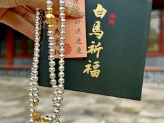 -洛阳白马寺