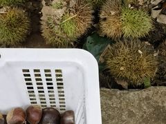 -敬亭山风景名胜区