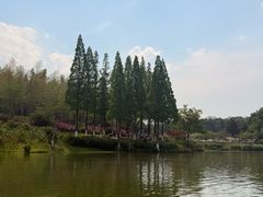 -宜兴龙背山森林公园