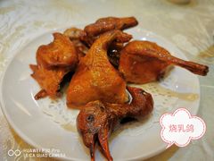 -有腥气私房菜·寻味顺德