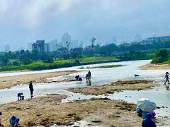 -巧克力渔家.小船海鲜胶东菜(万平口店)