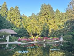 -庐山风景区花径公园