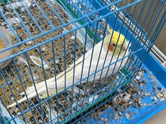 -大悦城(沈阳中街店)