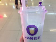 -一只酸奶牛(八一路店)