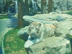 -北京野生动物园