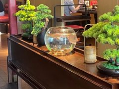 -300杯·和牛烧肉清酒专门店(廊里店)