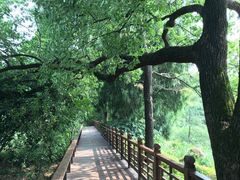 -东湖落雁景区