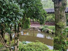 -杭州西子湖四季酒店-WL BISTRO西湖餐厅(灵隐路店)