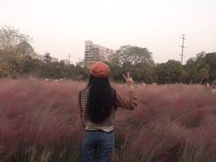 -艾溪湖湿地公园