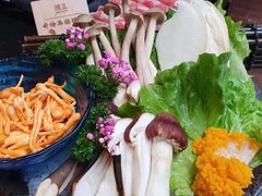 -捞王锅物料理(凯旋路店)