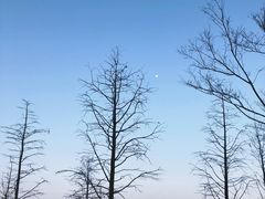 -滴水湖