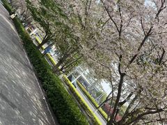 -菩提会所·足道·SPA(苏州中心店)