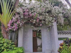 -深圳国际园林花卉博览园