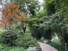 -龙头寺公园
