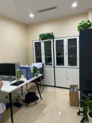 -碧莲盛·不剃发植发