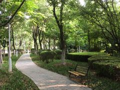 -燕鸣岛