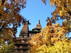 -北京石刻艺术博物馆(五塔寺)