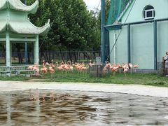 -秦皇岛野生动物园