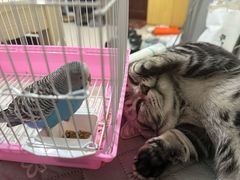 -快乐街区(长沙方圆荟店)