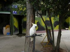 -大嶝英雄三岛战地观光园