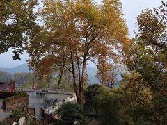 -莫干山风景区