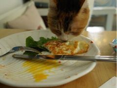 -Anne猫窝咖啡屋
