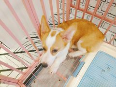 -白夜2D咖啡馆