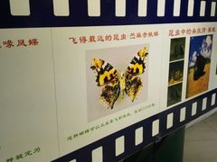 -上海昆虫博物馆