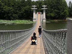 -东湖落雁景区