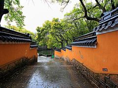 -普陀山风景名胜区-法雨禅寺