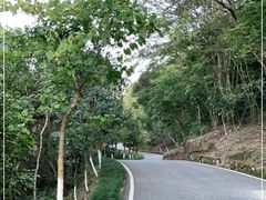 -广州白江湖森林公园