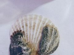 -深海壹品海鲜自助餐厅(吾悦广场店)