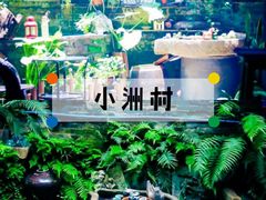 -小洲村
