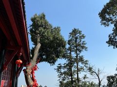 -青城山