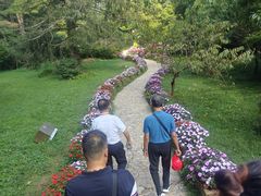 -庐山风景区花径公园