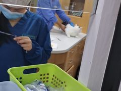 -联合动物医院(光谷诊疗中心)
